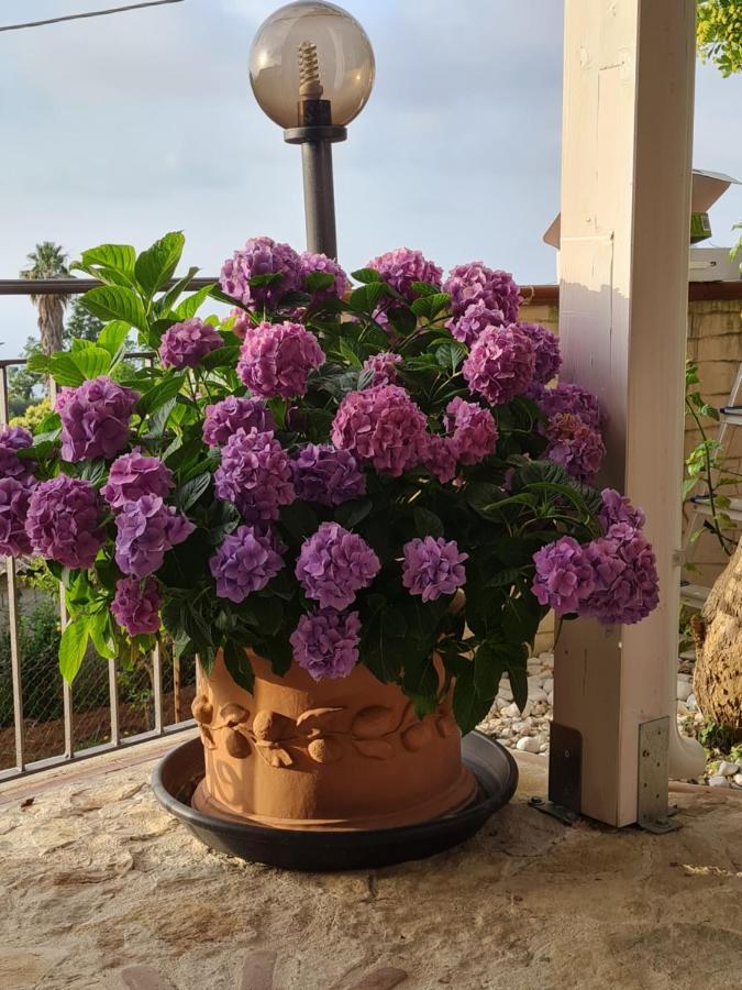 B&B La Casa Di Martina Zambrone Bilik gambar